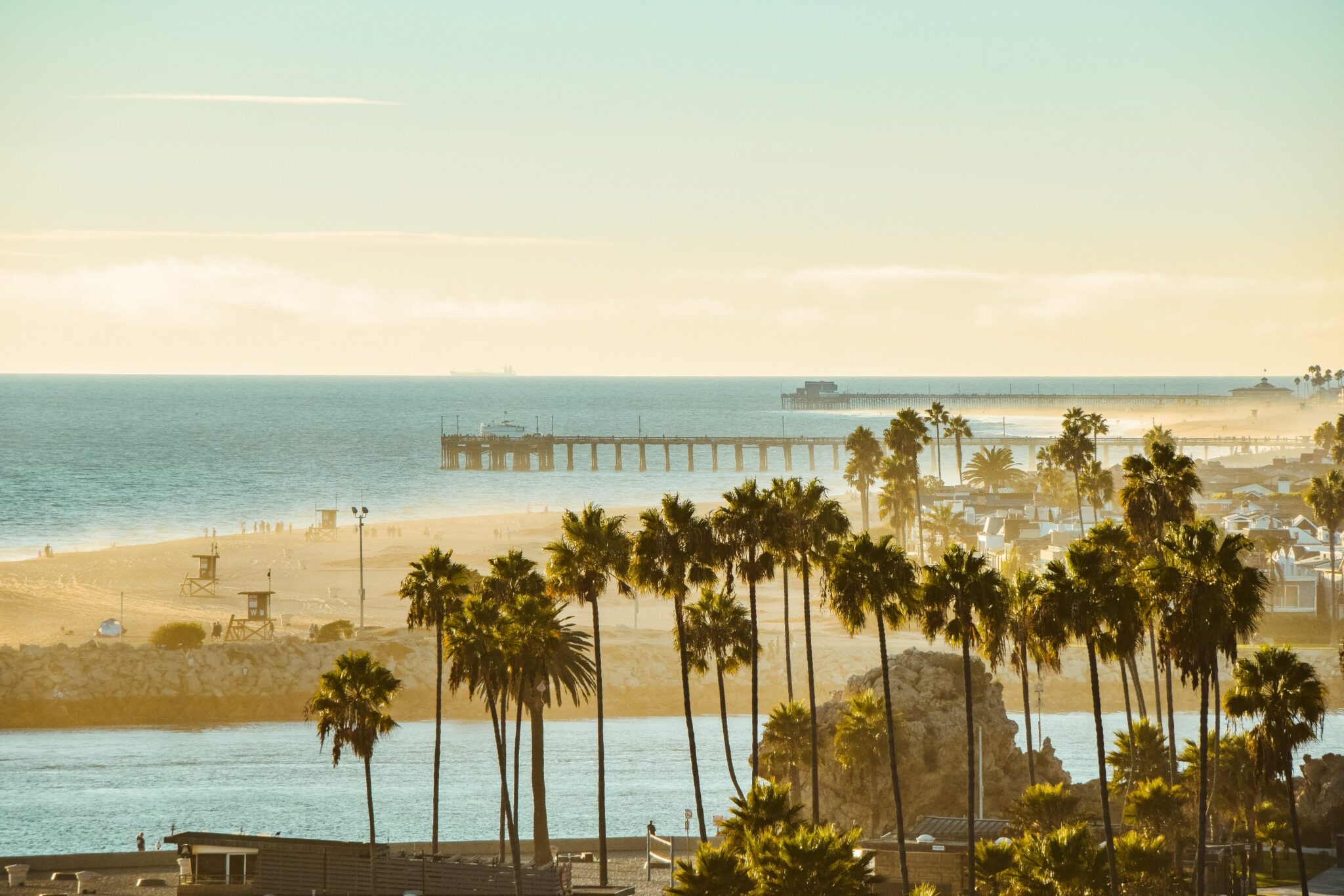 Coastal view with palm trees and pier.