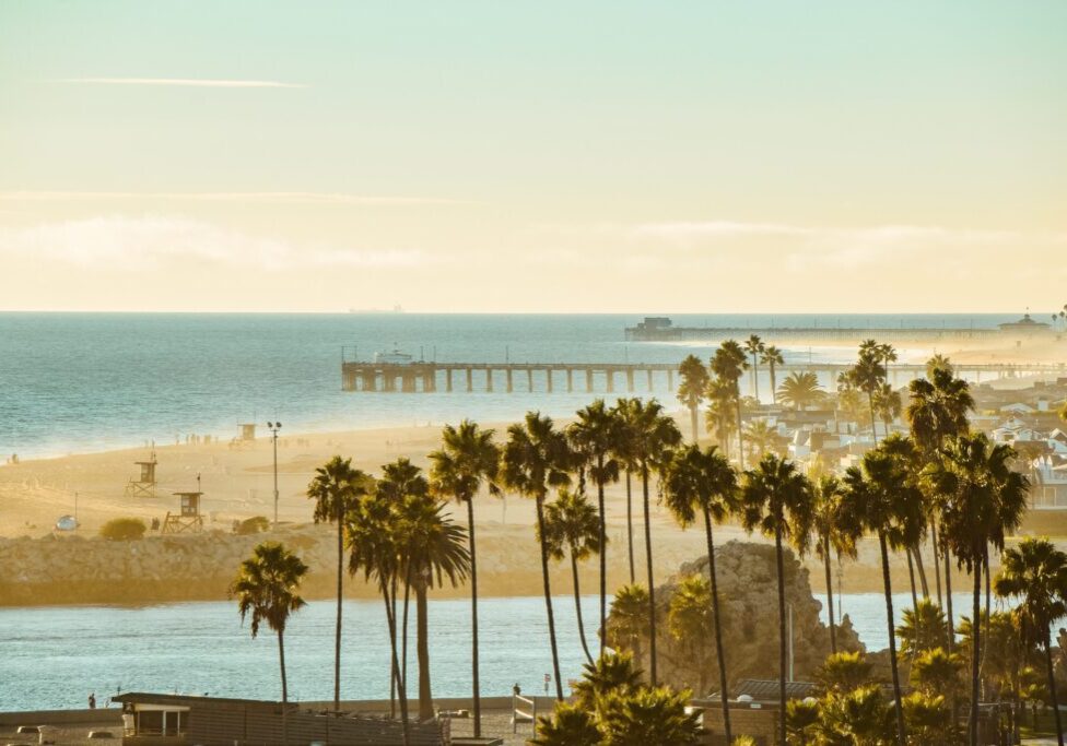 Coastal view with palm trees and pier.